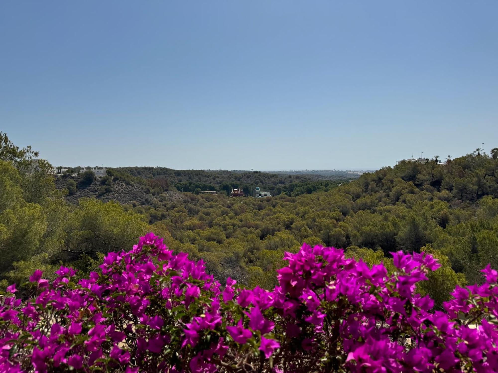 Orihuela - Las Ramblas - Casa Pino Dehesa de Campoamor  ภายนอก รูปภาพ